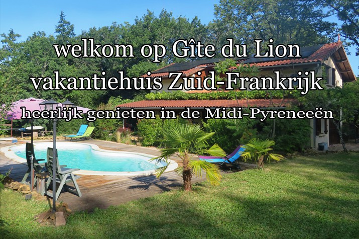 01-vakantiehuis-tekst